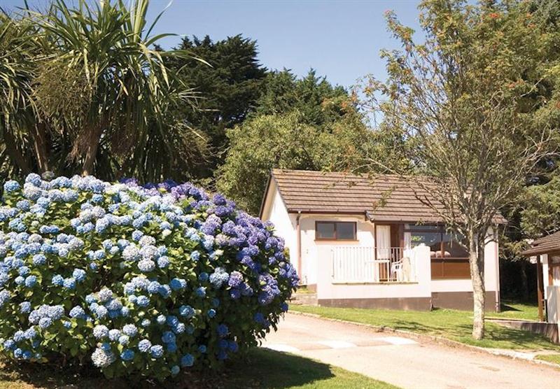 Typical Chalet Plus 1 at Seaview Holiday Village in Polperro, Nr Looe, Cornwall