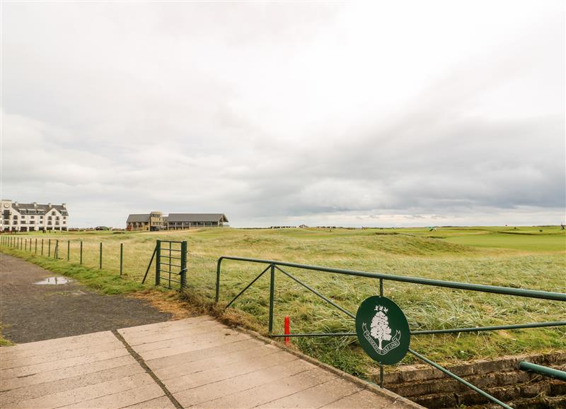 The setting around Seaview Wellness Retreat (photo 3) at Seaview Wellness Retreat, Carnoustie