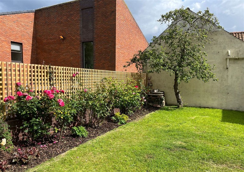 The garden in Secret Garden @ 7 at Secret Garden @ 7, Berwick-Upon-Tweed