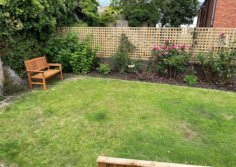 The garden at Secret Garden @ 7, Berwick-Upon-Tweed