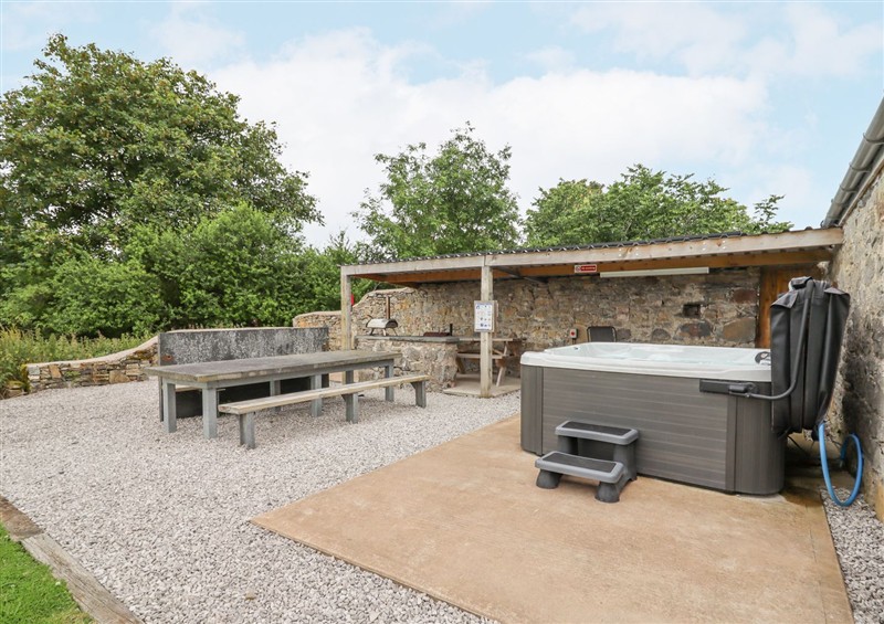 This is the garden (photo 5) at Segrwyd Uchaf, Denbigh