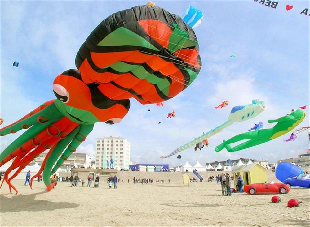 Berck Kite Festival