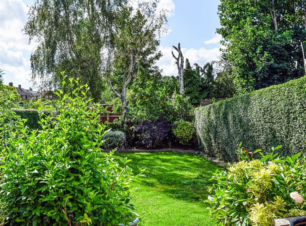 Garden (photo 2) at Serenity Comfort in Sutton Coldfield, West Midlands