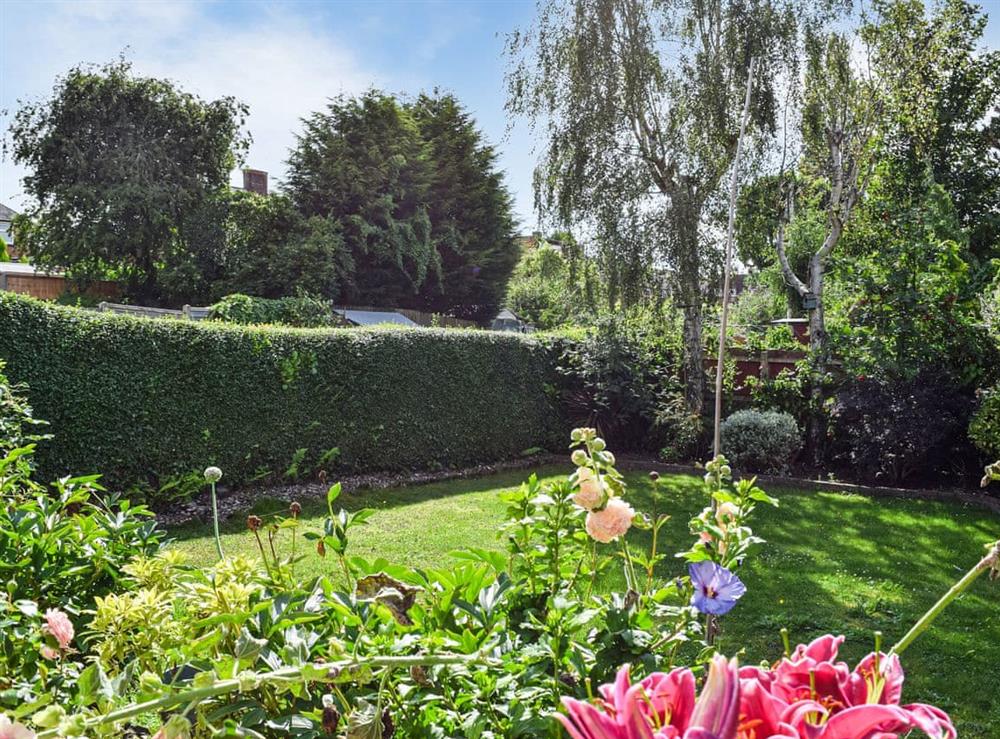 Garden (photo 3) at Serenity Comfort in Sutton Coldfield, West Midlands