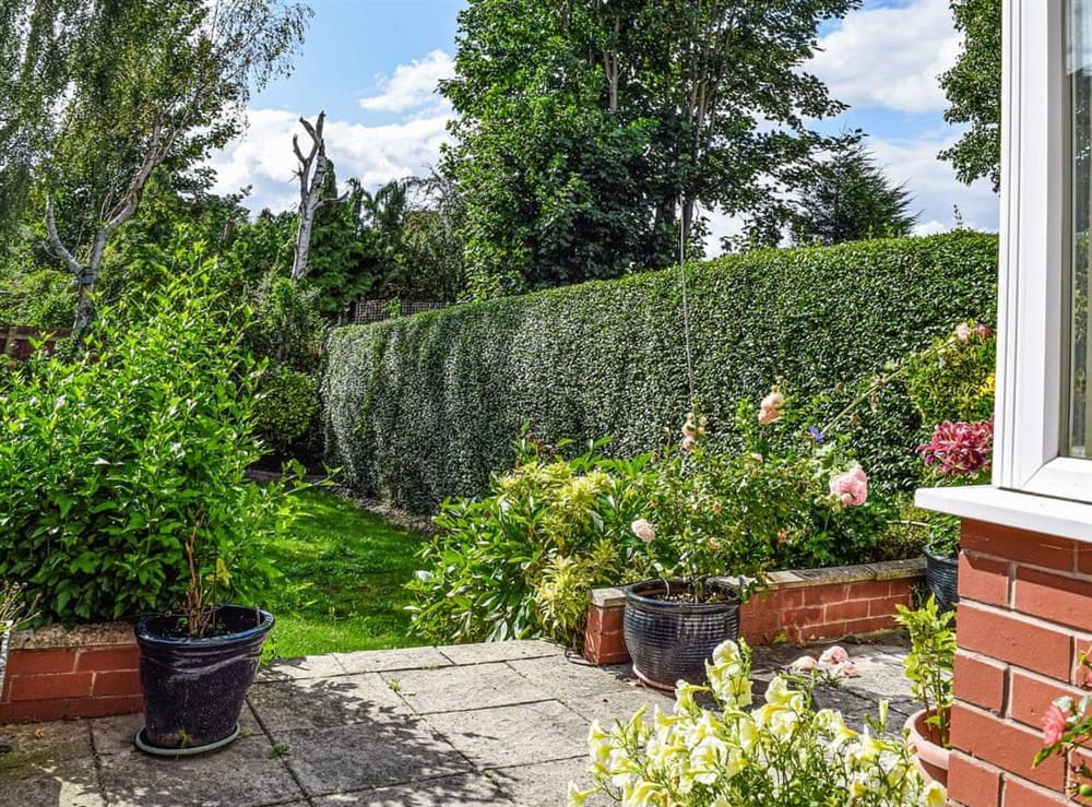 Garden at Serenity Comfort in Sutton Coldfield, West Midlands