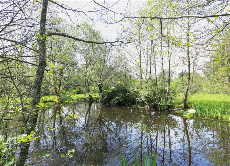The area around Serenity House, The Retreat