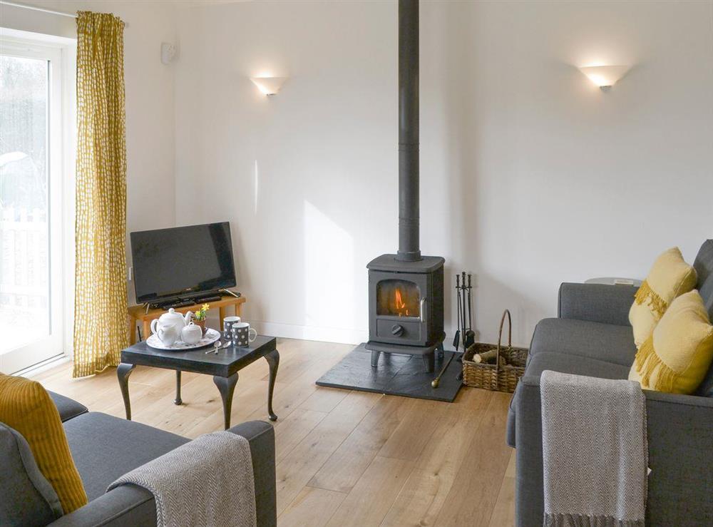 Spacious living area with wood-burner at The Boat House, 