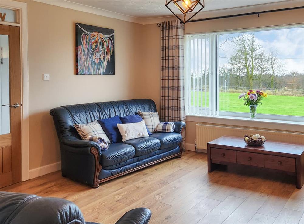Living room (photo 2) at Seven Seasons in Plains, near Glasgow, Lanarkshire