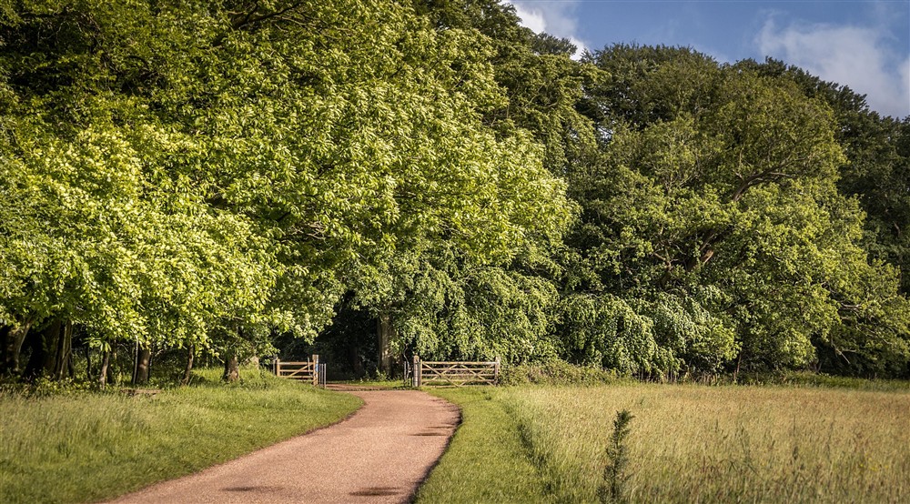 A path on the Felbrigg Estate which goes through grassland into woodland, Norfolk at Sexton's Lodge in Norwich, Norfolk