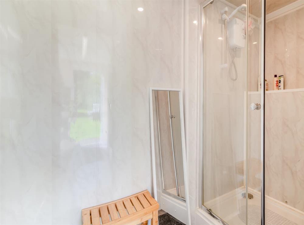 Shower room (photo 2) at Shadi in Llandyfan, Dyfed