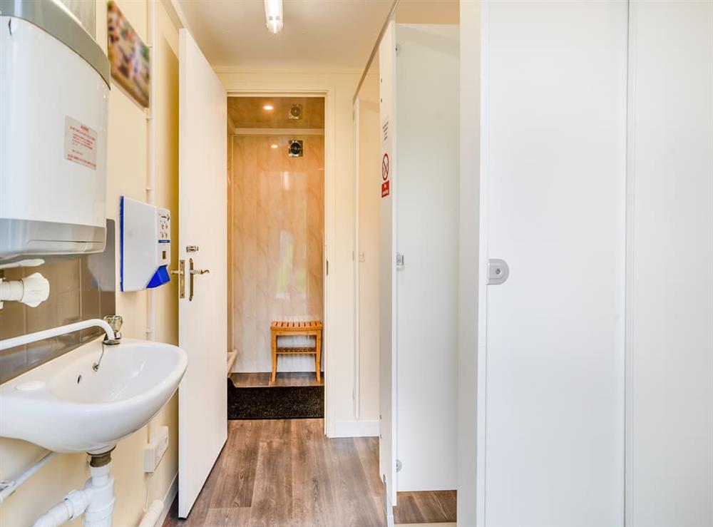 Shower room at Shadi in Llandyfan, Dyfed