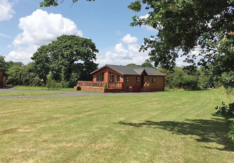 The park setting (photo number 19) at Shaftesbury Lodges in , Shaftesbury