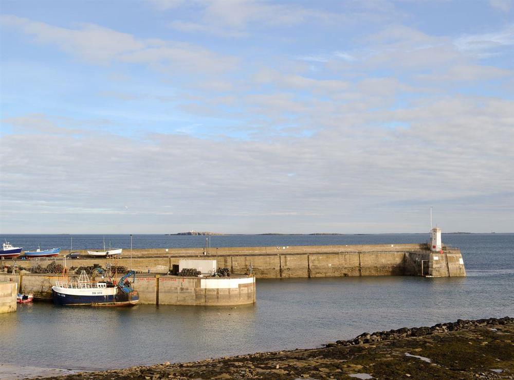 Surrounding area- Seahouses harbour at Shafto Cottage in Seahouses, near Bamburgh, Northumberland