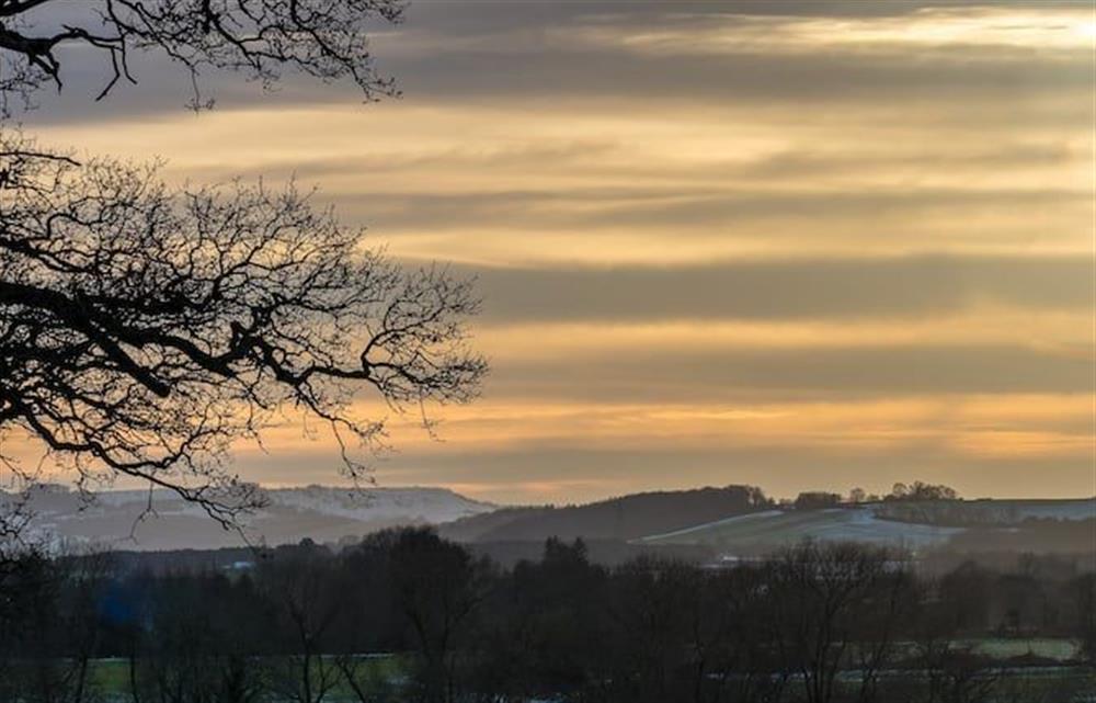 The countryside at dusk at Shakespears Shoes, Dunnington