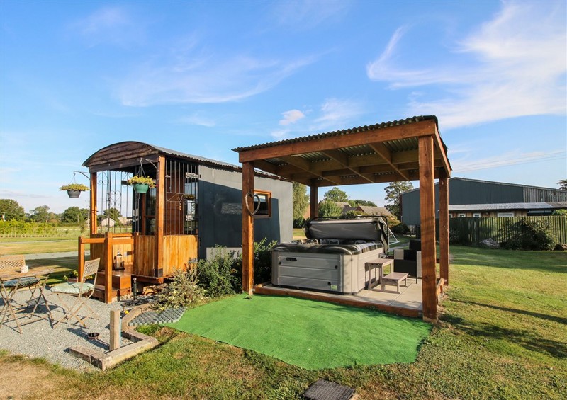 Enjoy the garden at Sharons Shepherd Hut, Knockin
