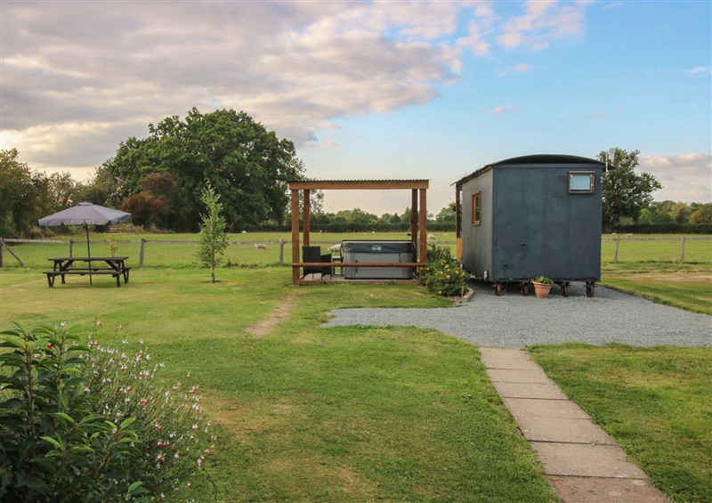 The garden in Sharon's Shepherd Hut (photo 3) at Sharons Shepherd Hut, Knockin