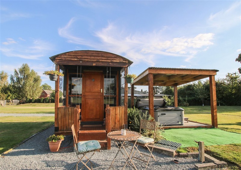 The garden in Sharon's Shepherd Hut at Sharons Shepherd Hut, Knockin