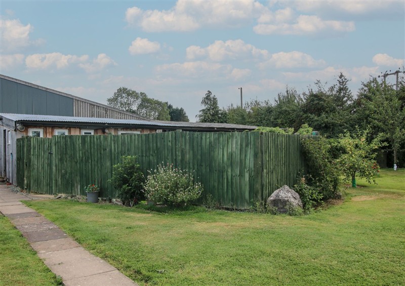 The garden at Sharons Shepherd Hut, Knockin