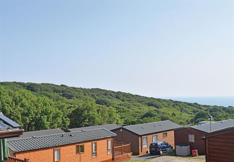 The park setting (photo number 2) at Shearbarn Holiday Park in Hastings, East Sussex