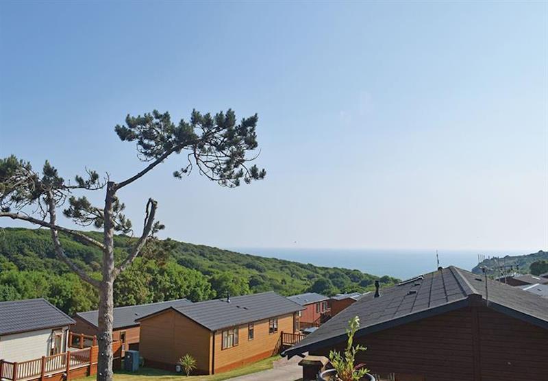 The park setting at Shearbarn Holiday Park in Hastings, East Sussex