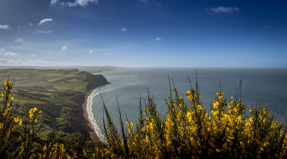 The surrounding area of Shedbush Farm House, Dorset at Shedbush Farm House in Nr Bridport, Dorset