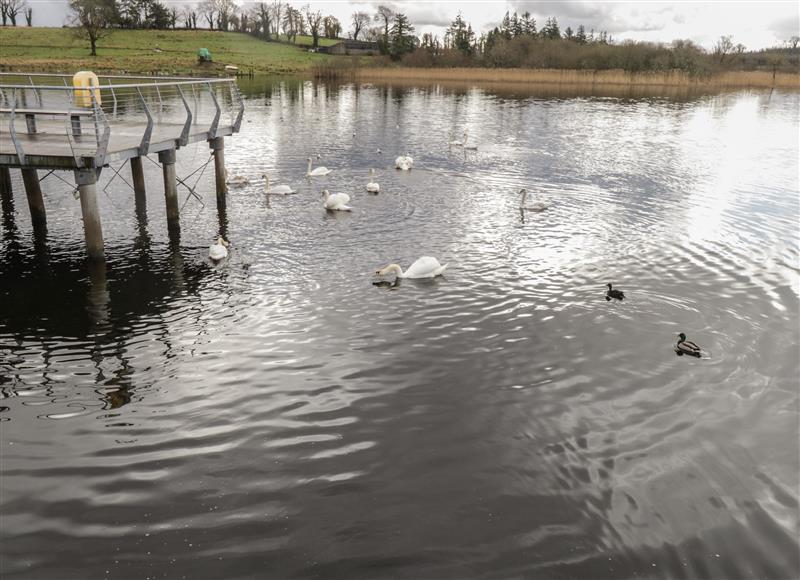 The area around Sheemore View at Sheemore View, Sheffield near Leitrim