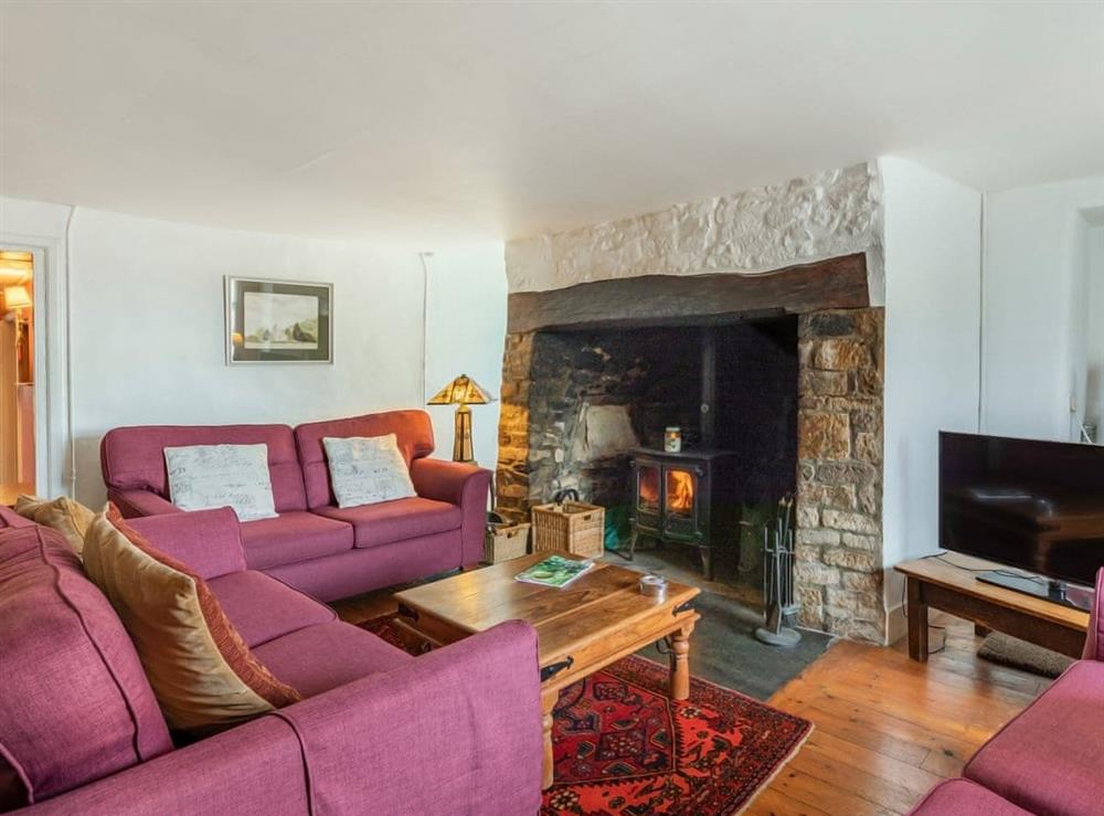 Living room (photo 2) at Sheepwash Square House in Sheepwash, near Beaworthy, Devon
