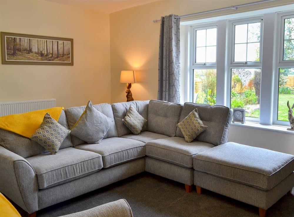 Comfortable living room at Sheilas Cottage in Christon bank, near Alnwick, Northumberland
