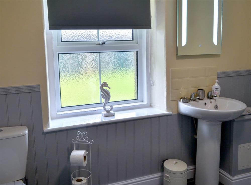Shower room at Sheilas Cottage in Christon bank, near Alnwick, Northumberland