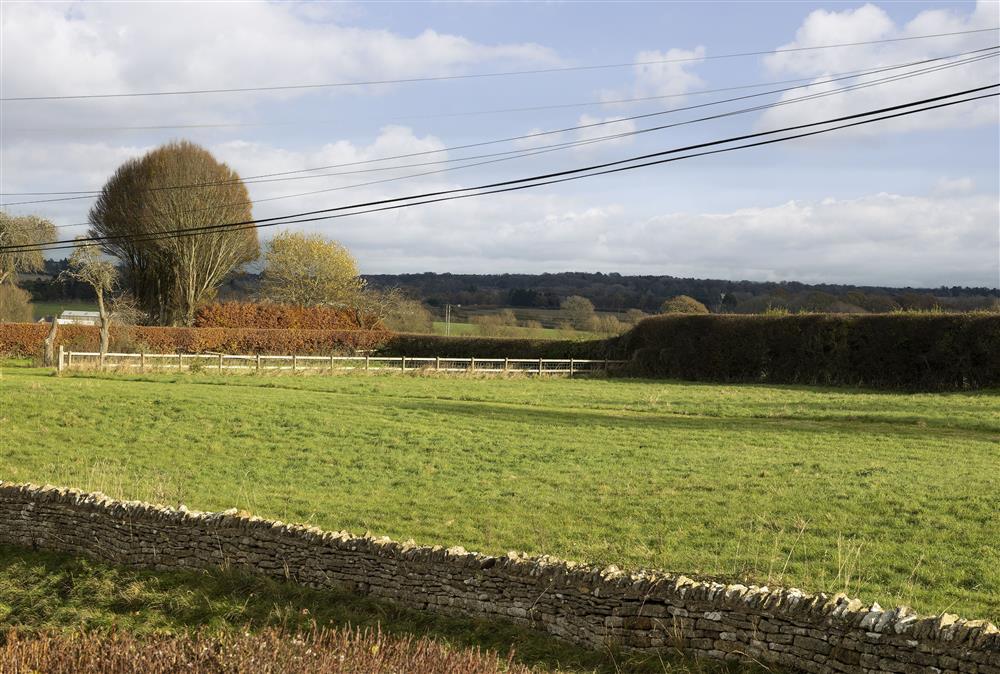 Beautiful fields surround Shepherds Cottage