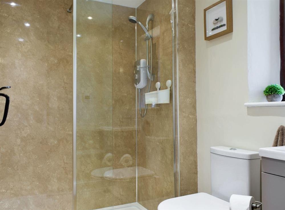 Shower room at Shepherds Den in Newton Le Willows, North Yorkshire