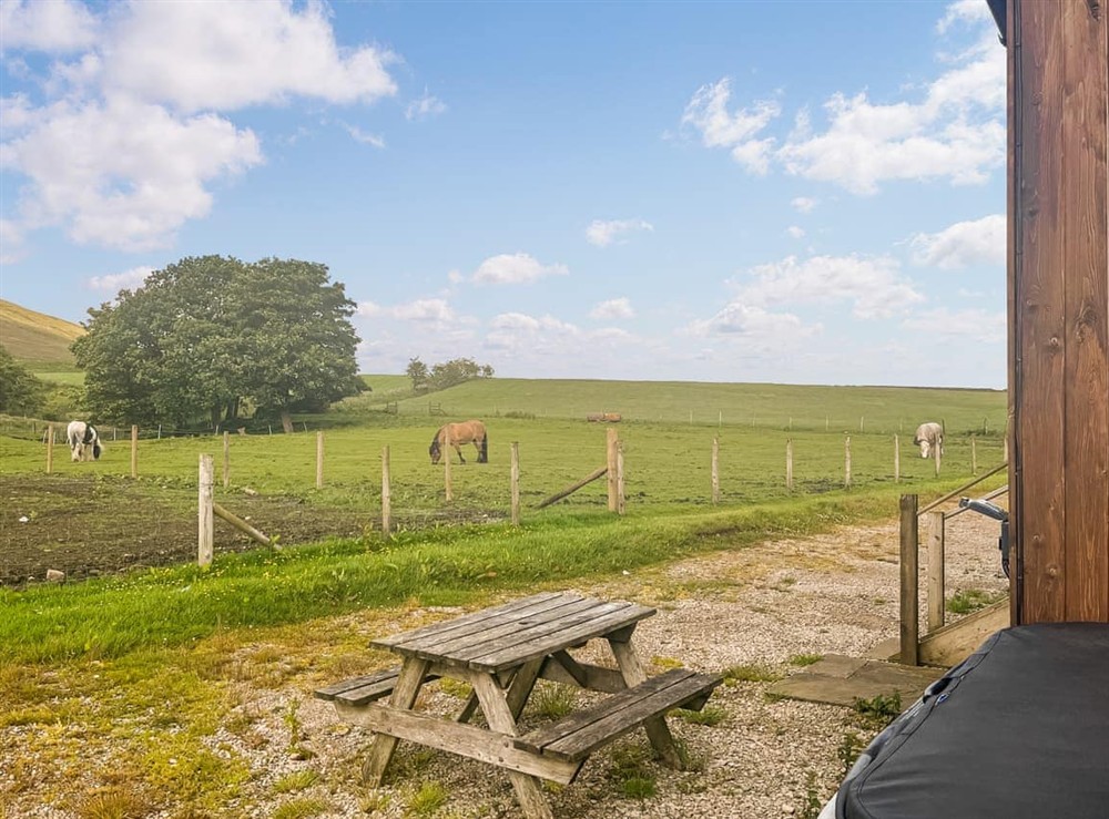 View at Shepherds Hut in Chipping, Lancashire