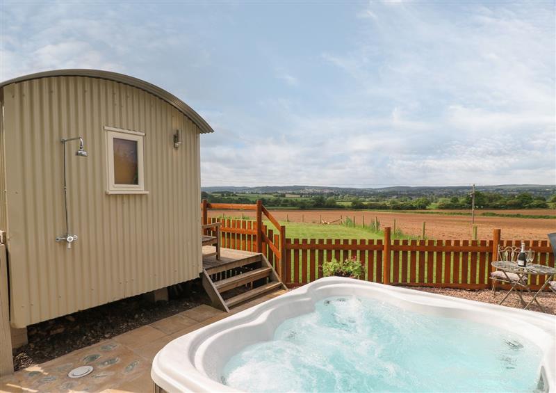 Spend some time in the pool at Shepherds Hut, Colton near Rugeley