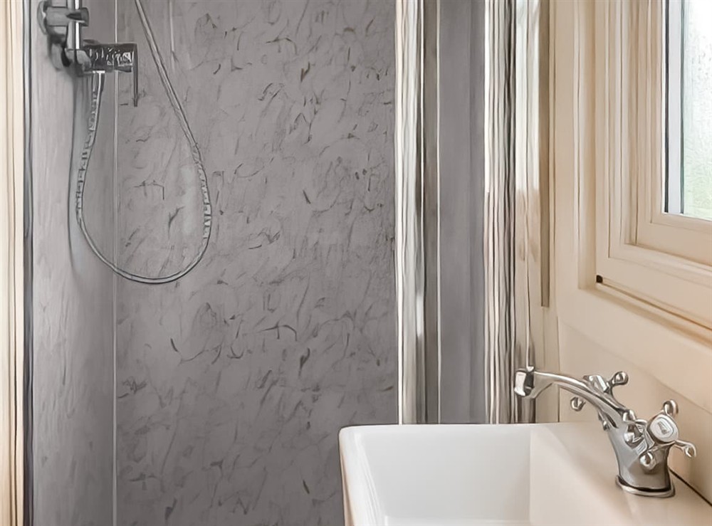 Shower room at Shepherds Hut in Laneham, Nottinghamshire