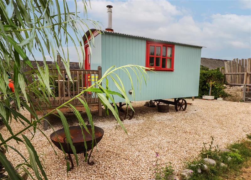 This is the garden at Shepherds Hut, Southerndown near St Brides Major