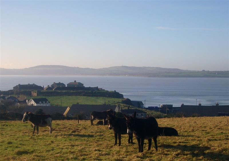 The setting of Shepherds Walk