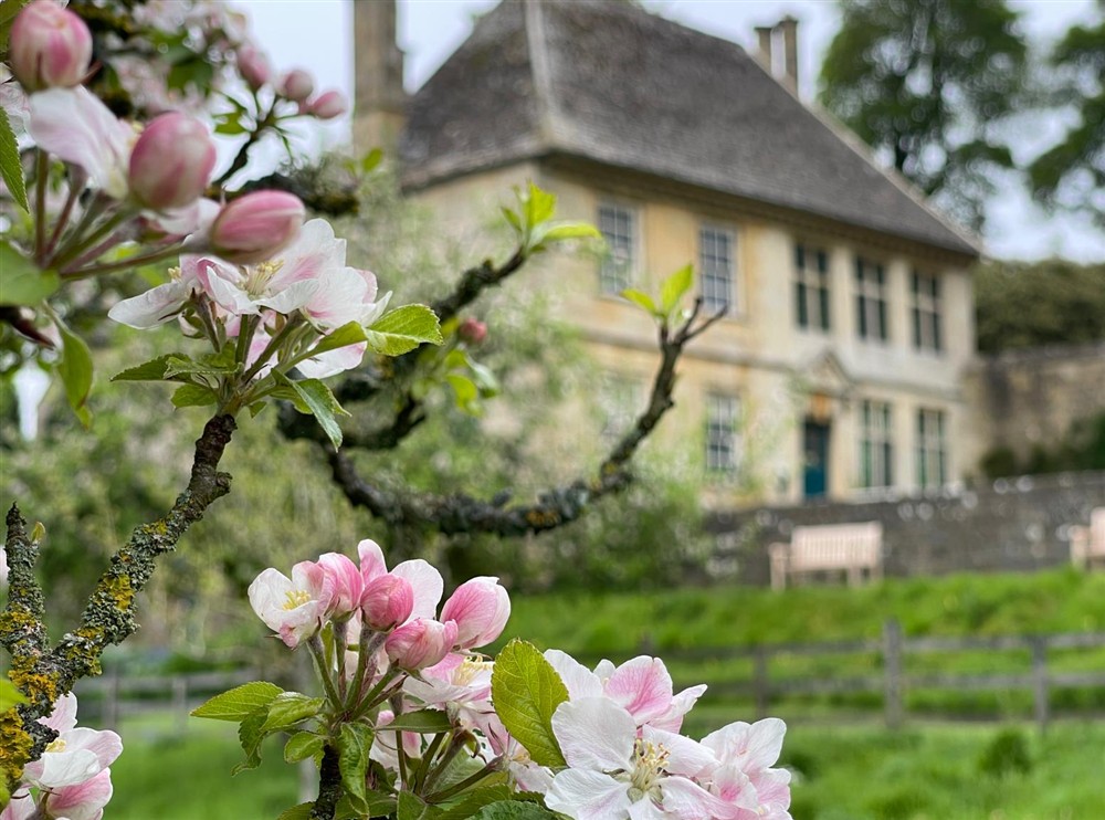 Pink blossom in front of Snowshill Manor South aspect at Sherborne West Lodge in Sherborne, Gloucestershire