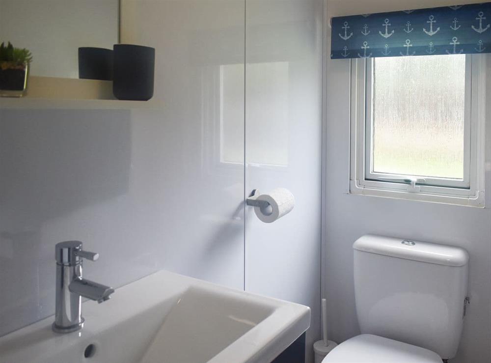 Shower room at Sherdale Lodge in Builth Wells, Powys