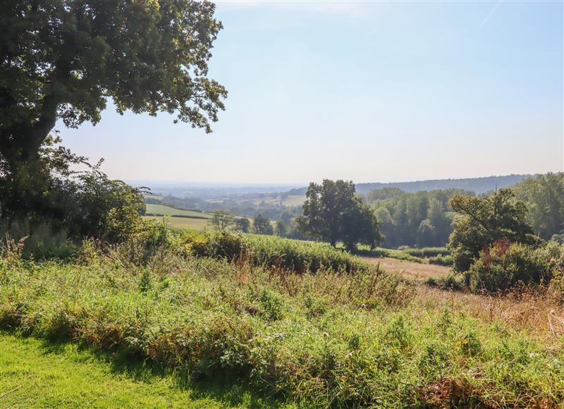 Rural landscape