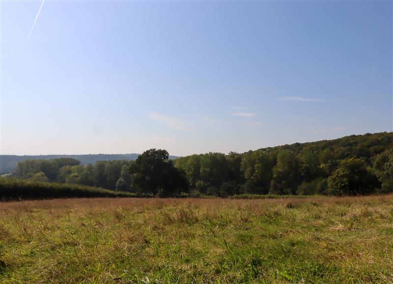 Rural landscape