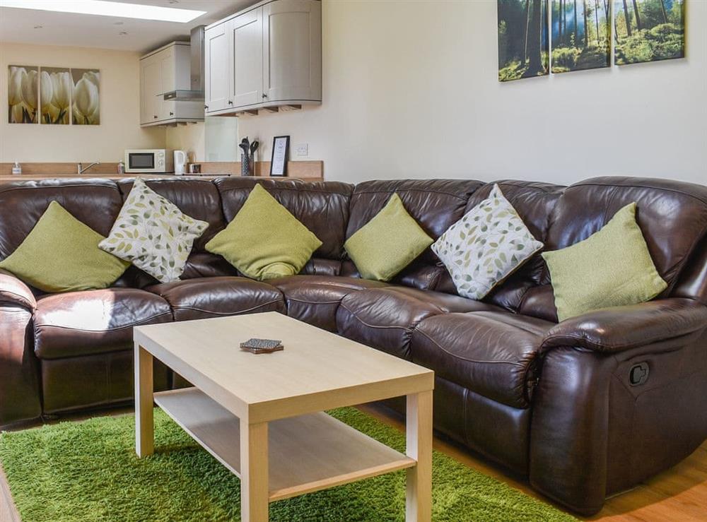 Living area at Sherwood Forest Lodge in Kings Clipstone, near Mansfield, Nottinghamshire