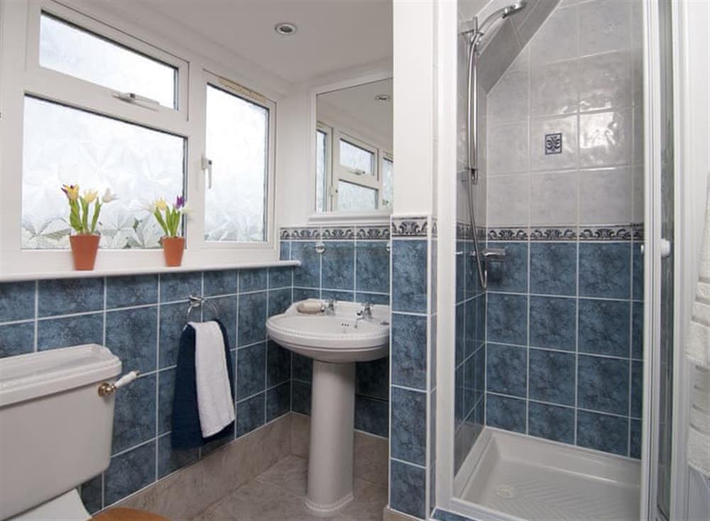 Shower room at Shiloh Cottage in Isle of Wight, Ryde & East Wight