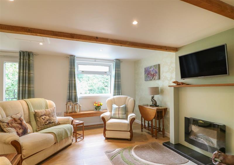 Enjoy the living room at Shilstone Lodge, Chagford