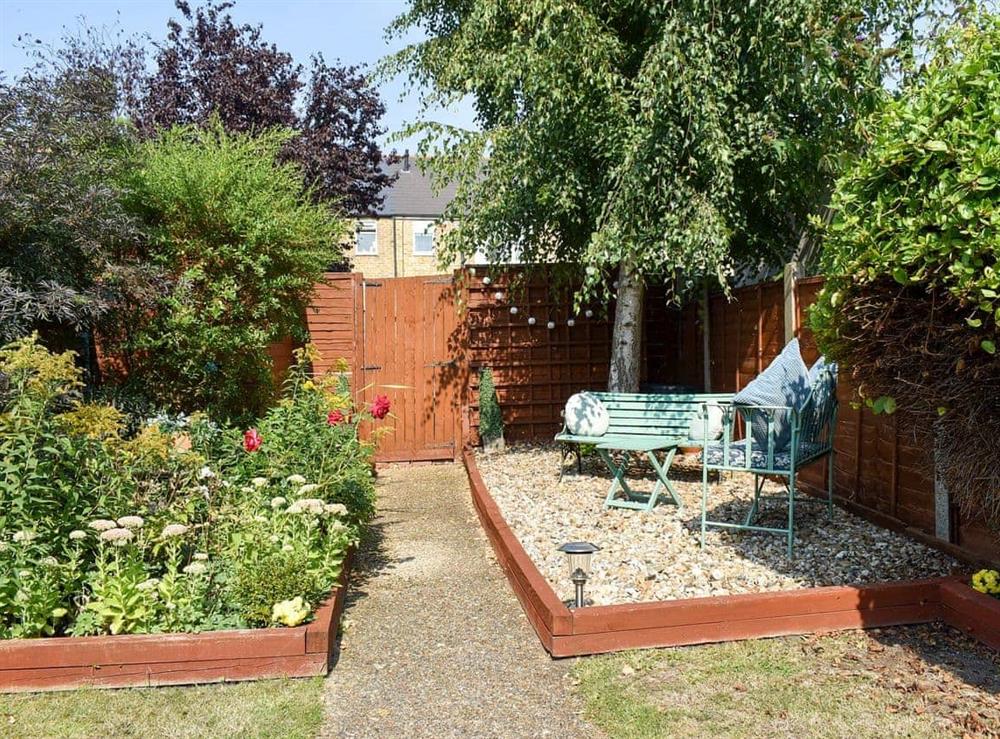 Enclosed garden with terrace and furniture (photo 3) at Shingle Cottage in Whistable, Kent