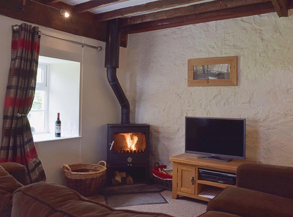 Living room at Shippen Cottage in Ivy Court Cottages, Llys-y-Fran, Dyfed