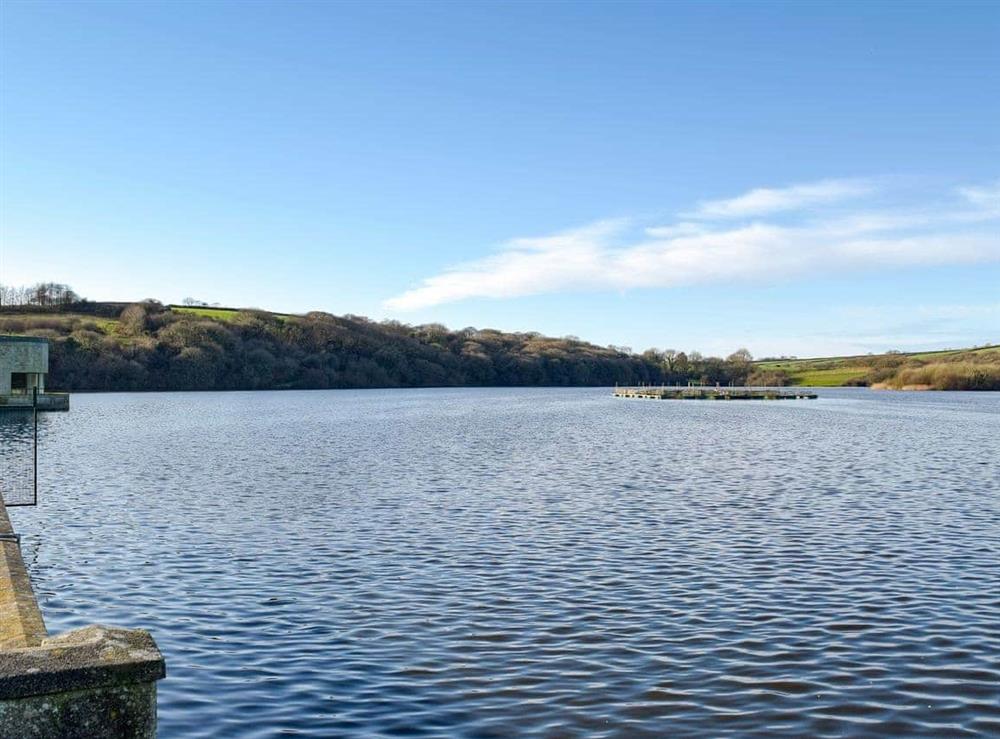 Llys Y Fran reservoir
