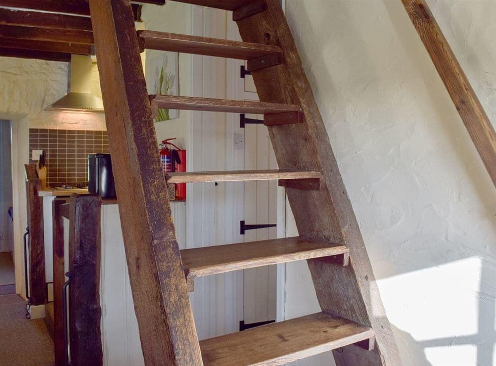 Steep, open-tread, open-sided stairs at Shippen Cottage in Ivy Court Cottages, Llys-y-Fran, Dyfed