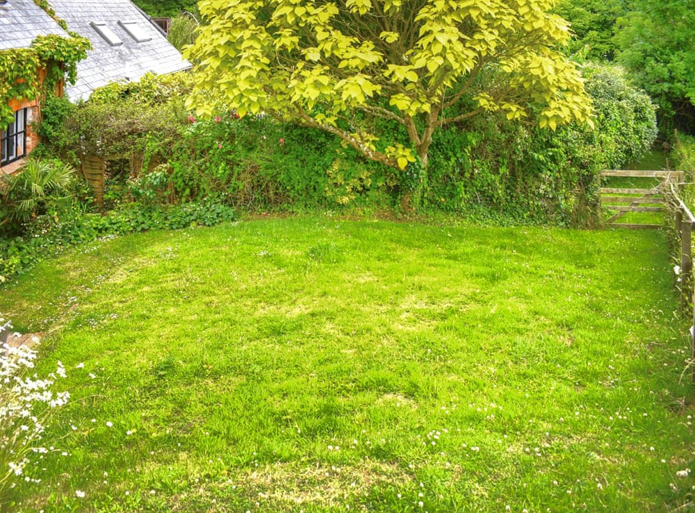 Garden at Shippen in Sidmouth, Devon