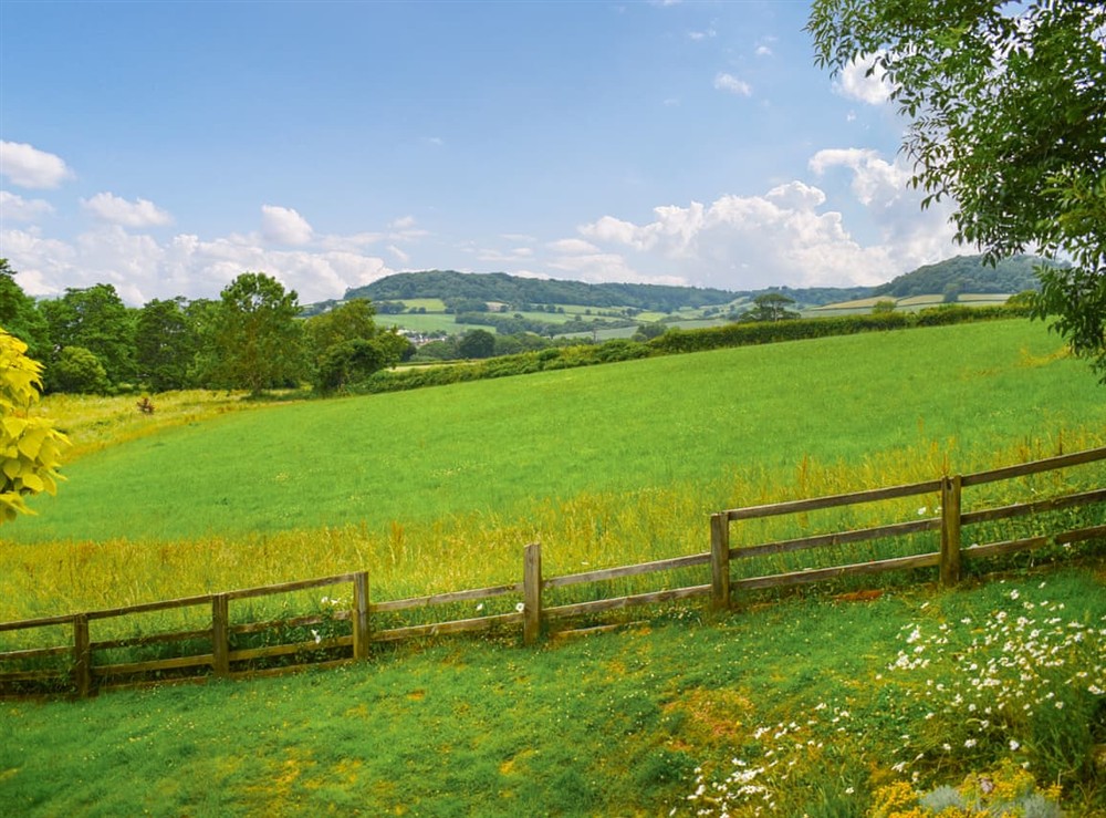 Surrounding area at Shippen in Sidmouth, Devon