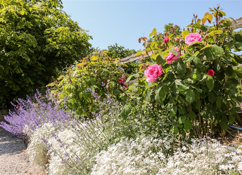 Enjoy the garden (photo 2) at Shippon Cottage, Castleton